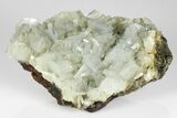 Bladed Blue Barite Crystal Cluster - Morocco #184299-1